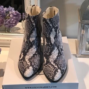 Steve Madden Jillian snake bootie
